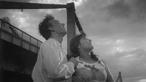 Wenn die Kraniche ziehen Bild 1