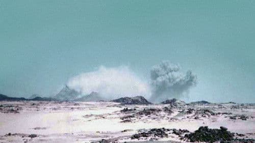 Gerboise Bleue Bild 8