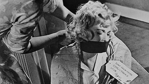 The Shakedown Bild 1