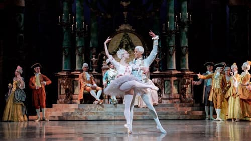 La Belle au bois dormant Bild 2