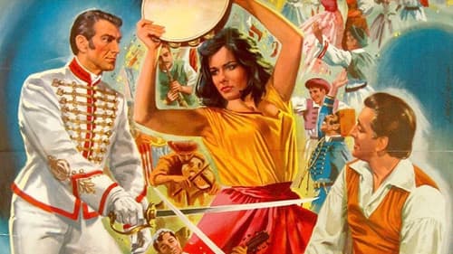 Der Zigeunerbaron Bild 1