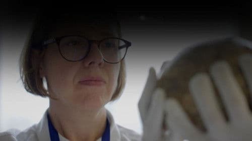 Neanderthals vs Sapiens: Two of a Kind Bild 1