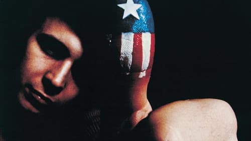 Don McLean: American Pie Bild 1