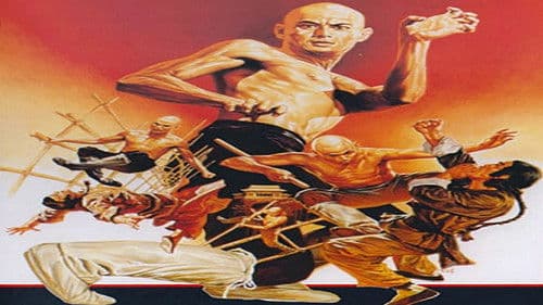 Die Rückkehr zu den 36 Kammern der Shaolin Bild 3