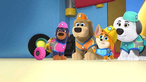 Waustelle - Alle Pfoten packen an Bild 8