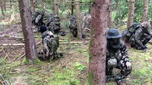 Rechtsextreme auf dem Vormarsch Bild 4