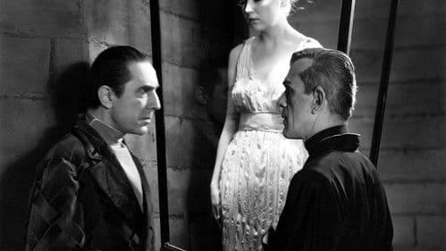 Die schwarze Katze Bild 5