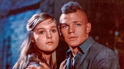 Das Herz eines Indianers Bild 1