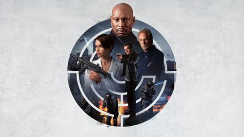 The Collective Bild 8