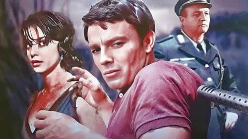 Der Bucklige von Rom Bild 5