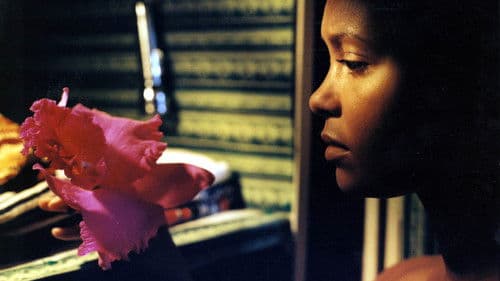 Shandurai und der Klavierspieler Bild 1