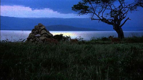 Drei Strolche in der Wildnis Bild 2