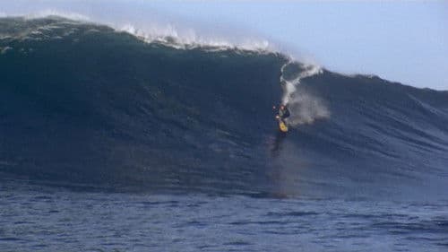 Billabong Odyssey Bild 1