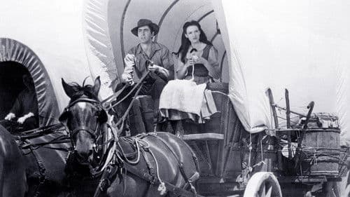 Treck nach Utah Bild 5