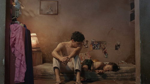 Hotel Paraíso Bild 1