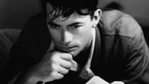 Tabu der Gerechten Bild 2