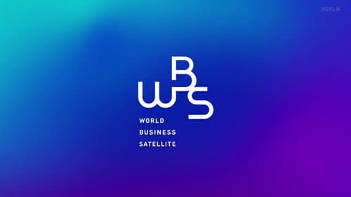 WBS Bild 2
