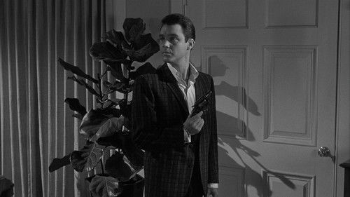 Der Tiger ist unter uns Bild 6