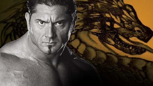 WWE New Year's Revolution 2005 Bild 1