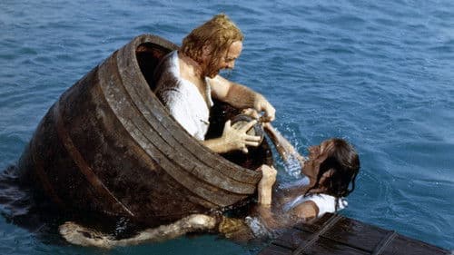 Die drei Musketiere der Meere Bild 1