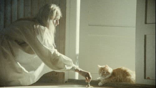 Keskiyön auringosta ikuisuuteen Bild 1