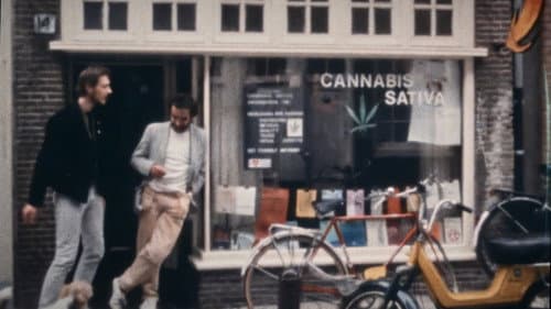 Narcotrafic, le poison de l’Europe Bild 5