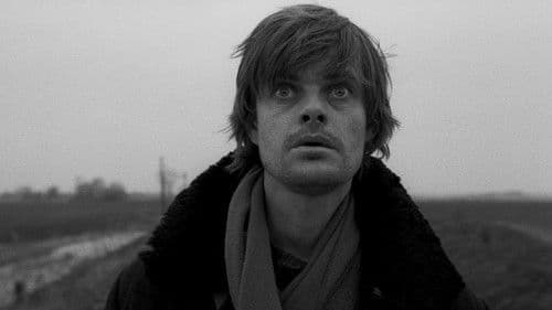 Die Werckmeisterschen Harmonien Bild 6