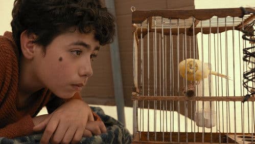 Al-Shafaq - Wenn der Himmel sich spaltet Bild 2