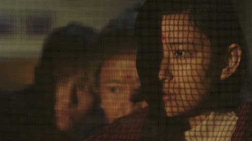 Shape of Momo Bild 5