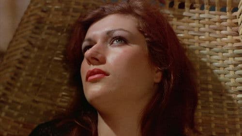 In 80 Betten um die Welt Bild 1