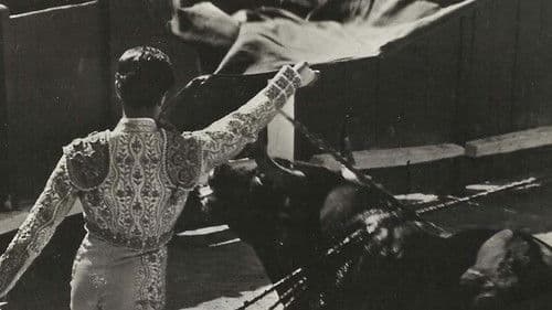 Corrida Interdite Bild 1