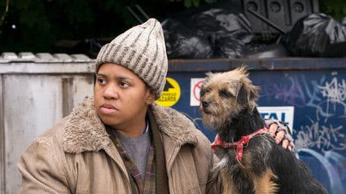 Accidental Friendship Bild 1