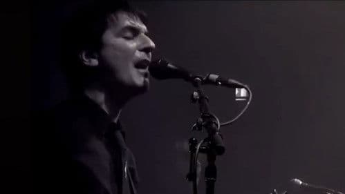 Amplifier: Live in Berlin Bild 1