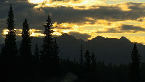 Before the Flood Bild 8