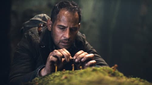 Die dunkle Seite des Mondes Bild 8