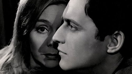 Ples v dežju Bild 1