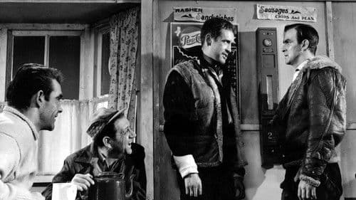 Duell am Steuer Bild 5