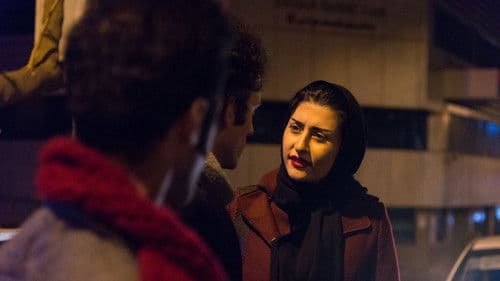 Ext. Friendship - Night Bild 1