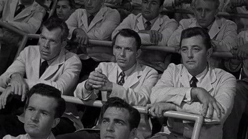 ...und nicht als ein Fremder Bild 4