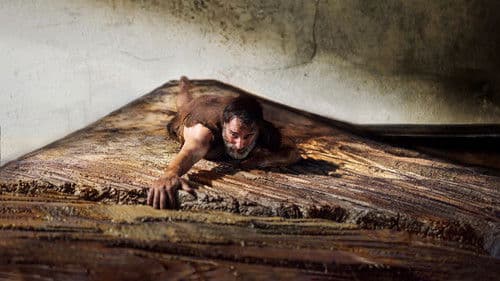 Der Mann, der immer kleiner wurde Bild 8