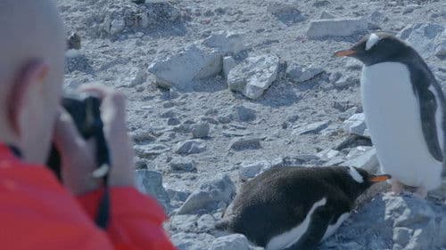 Let's go to Antarctica! Bild 3