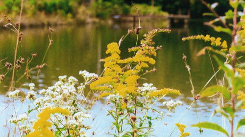 Gaming Hearts Bild 1