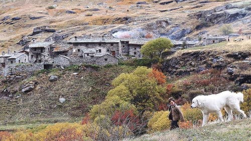 Belle & Sebastian Bild 8