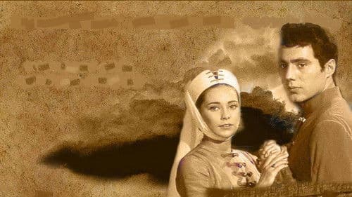 Sterne von Eger Bild 1