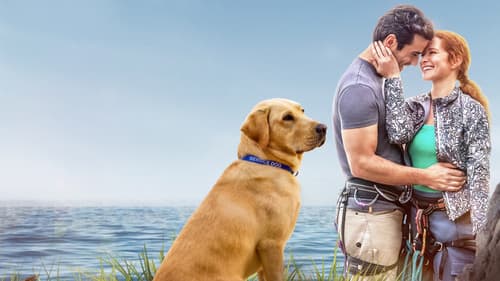 Guiding Emily Bild 2