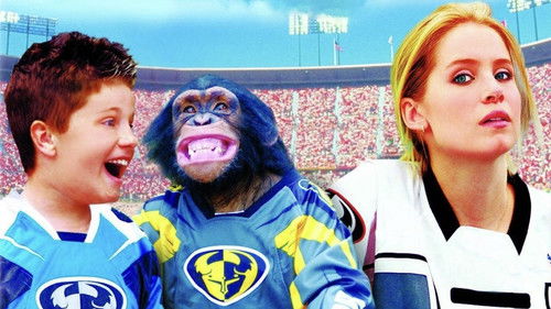 Motocross Kids Bild 1