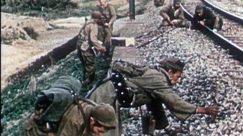 Algérie en flammes Bild 7