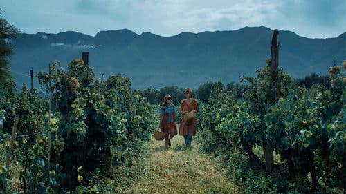 La Casa del Sur Bild 1