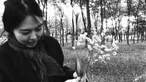 Die Schriftstellerin, ihr Film und ein glücklicher Zufall Bild 5