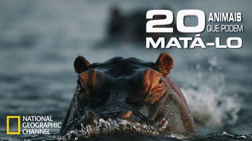 20 Tiere die töten Bild 4